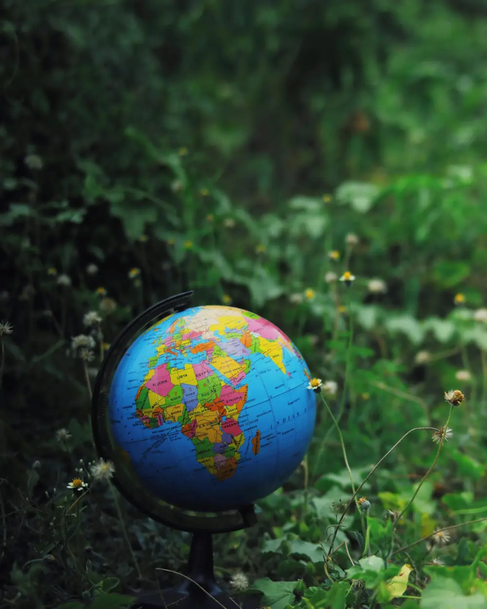 A globe among plants